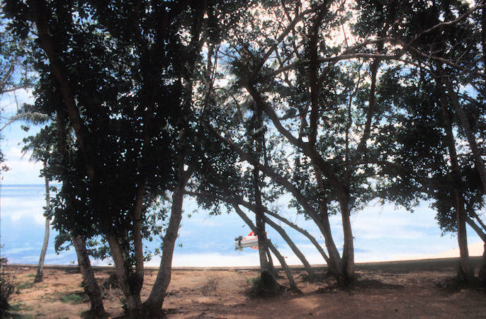 Seychellen 1999-001.jpg